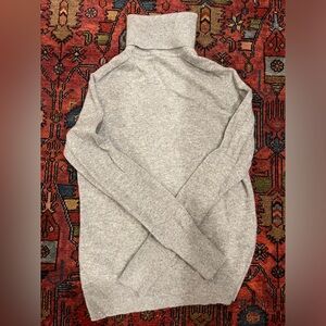 Everlane Cashmere Turtleneck